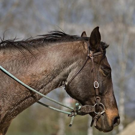 Appartamento Domceky Na Ranci Sucany Esterno foto